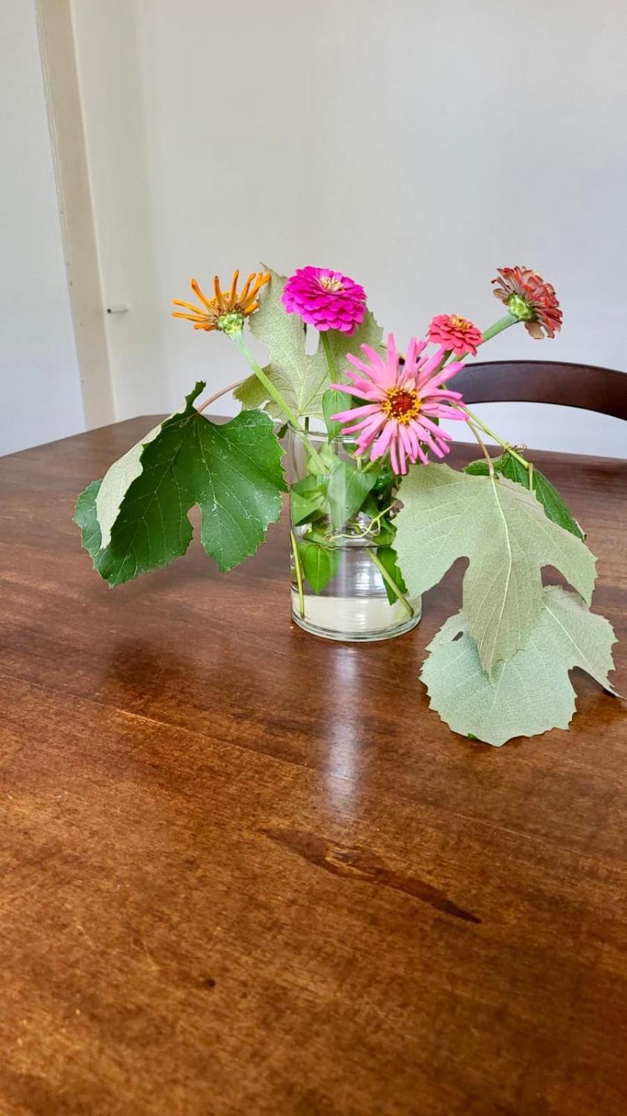 Appartamento Antica Casa Storica con Giardino Domodossola Esterno foto