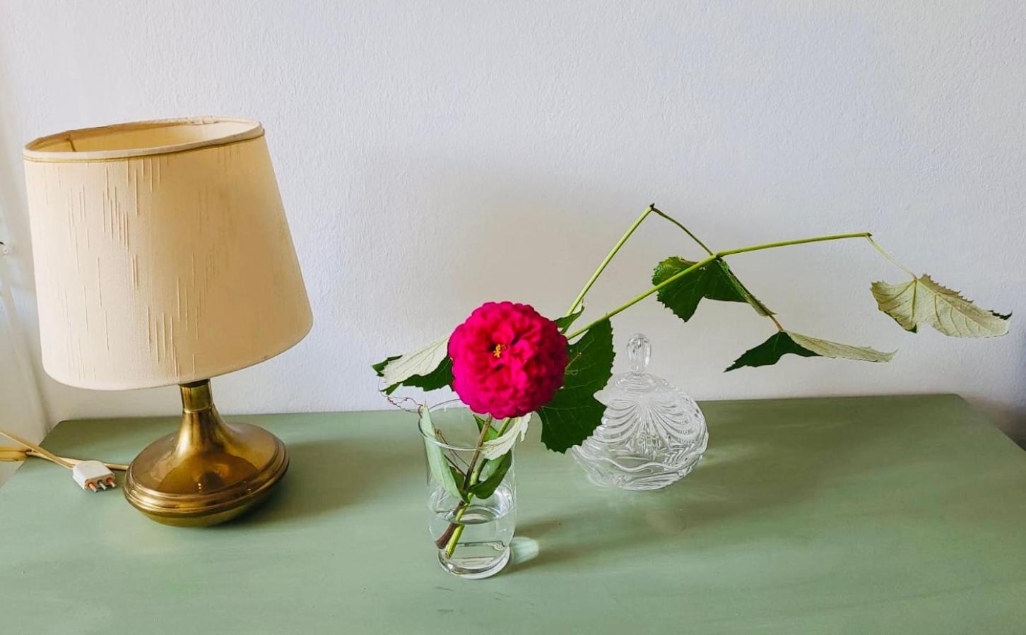 Appartamento Antica Casa Storica con Giardino Domodossola Esterno foto